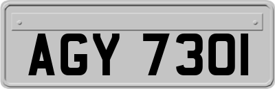 AGY7301