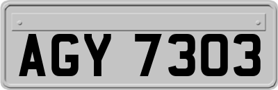 AGY7303