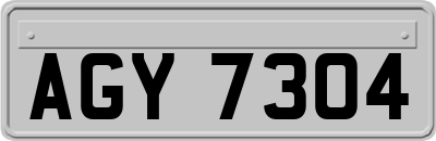 AGY7304