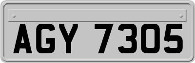 AGY7305
