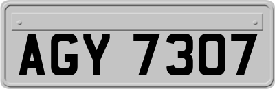AGY7307
