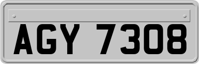 AGY7308