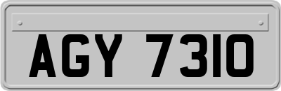 AGY7310