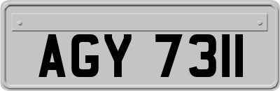 AGY7311