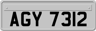 AGY7312