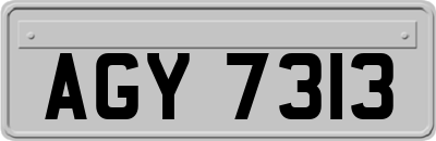 AGY7313
