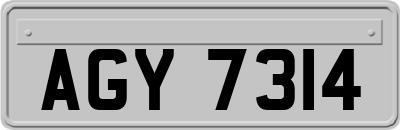 AGY7314