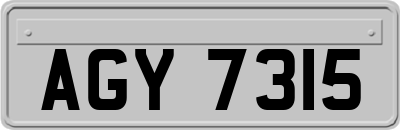 AGY7315