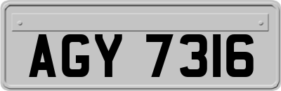AGY7316