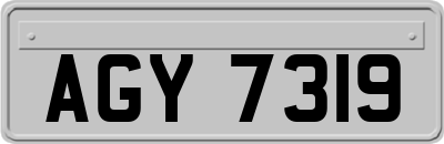 AGY7319