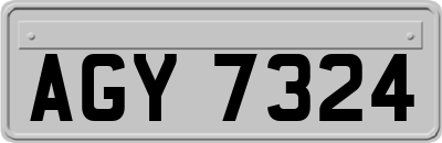 AGY7324