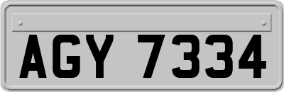 AGY7334