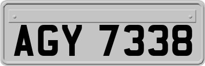 AGY7338