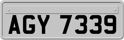 AGY7339