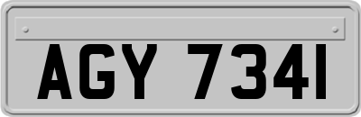 AGY7341
