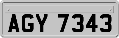 AGY7343