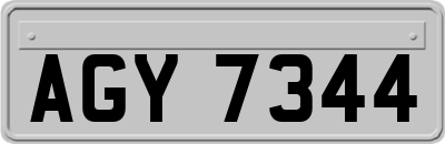 AGY7344