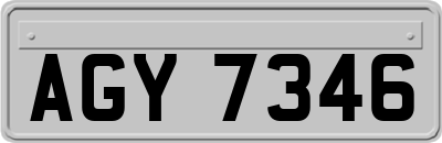 AGY7346