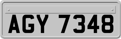 AGY7348