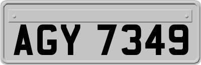 AGY7349