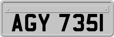 AGY7351