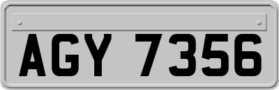 AGY7356