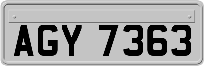 AGY7363
