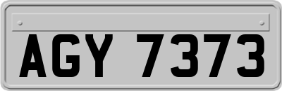 AGY7373