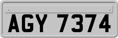 AGY7374