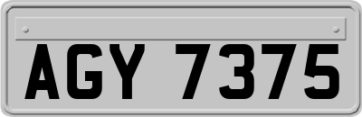 AGY7375