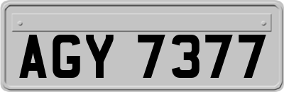 AGY7377