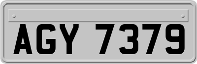 AGY7379