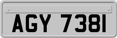 AGY7381