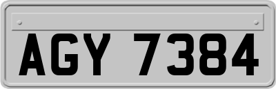 AGY7384