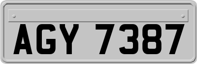 AGY7387