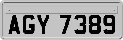 AGY7389