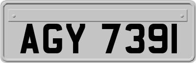 AGY7391
