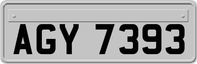 AGY7393