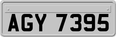 AGY7395