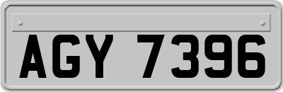 AGY7396