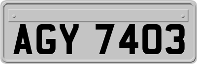 AGY7403