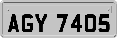 AGY7405