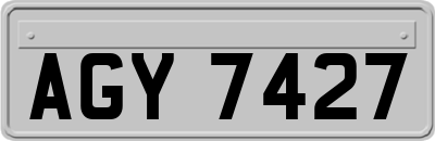 AGY7427