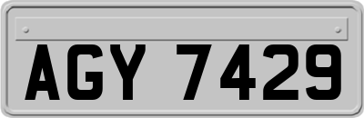 AGY7429