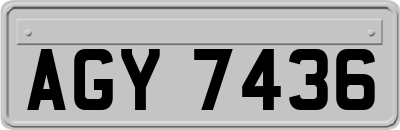 AGY7436
