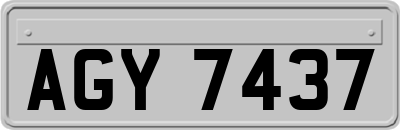 AGY7437