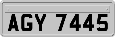 AGY7445