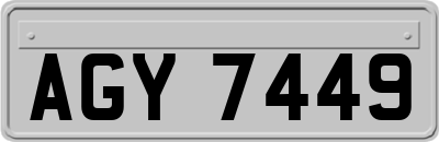 AGY7449
