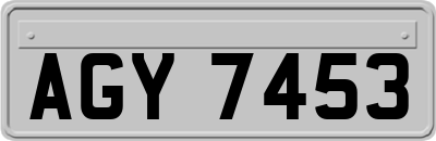 AGY7453