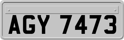 AGY7473